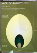dromornis-egg;museum-of-central-australia