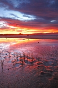 byron-bay-picture;byron-bay;clarkes-beach;byron-bay-sunset;ocean-sunset;beach-sunset;new-south-wales