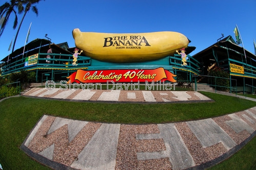the big banana;big banana picture;big banana;coffs harbour;new south wales;banana statue;steven david miller;natural wanders
