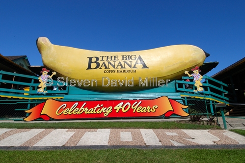 the big banana;big banana picture;big banana;coffs harbour;new south wales;banana statue;steven david miller;natural wanders