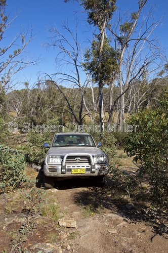 snowy wilderness;snowy mountains;snowy wilderness property;4wd;4WD;toyota 4wd;steven david miller;natural wanders