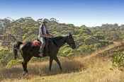 snowy-wilderness;snowy-mountains;snowy-wilderness-property;horseback-riding;horse-riding;riding;woma
