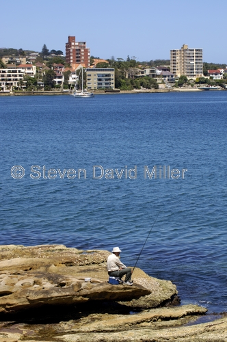 manly;manly cove;sydney;sydney harbour;sydney harbor;sydney tourist attractions;man fishing;fishing;steven david miller;natural wanders