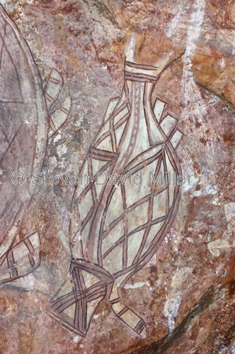nanguluwur;kakadu;kadadu national park;kakadu rock art;northern territory;northern territory national park;aboriginal rock art;australian rock art;rock art;x-ray rock art;xray rock art;fish rock art