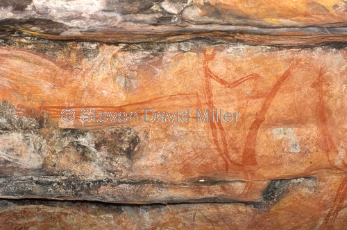 ubirr rock art site;aboriginal rock art;kakadu national park;kakadu;northern territory;northern territory national park;rock art;australian rock art;ubirr;human figure rock art;post contact rock art