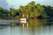 yellow-waters;south-alligator-river;kakadu-national-park;fishing-on-yellow-waters;fishing-on-south-a
