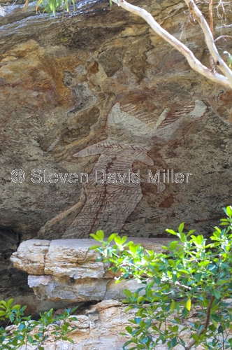 aboriginal rock art;australian rock art;stenciled rock art;painted rock art;arnhem land rock art;mount borradaile;rainbow serpeant;davidson's arnhemland safaris;davidsons arnhemland safaris;arnhem land;arnhemland