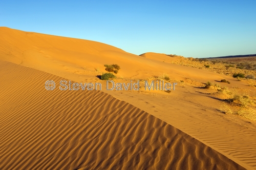 big red;simpson desert;simpson desert crossing;central australia;birdsville;simpson desert sand hill;sand hill;queensland