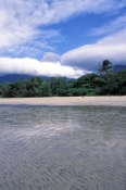 coconut-beach;cape-tribulation;cape-tribulation-beach;daintree-national-park;wet-tropics;wet-tropics