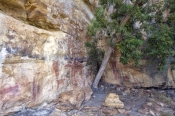 quinkan-aboriginal-rock-art;honemoon-rock-art-shelter;jowalbinna-rock-art-safari-camp;cape-york;quik