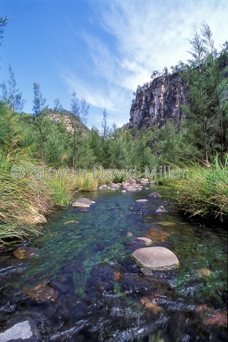 carnarvon gorge;carnarvon creek;carnarvon national park;creek;stream;queensland national park;australian national park;carnarvon gorge walk