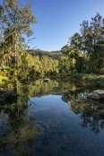 australian-national-parks;Carnarvon-Gorge-section-of-Carnarvon-National-Park