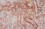 art-gallery;the-art-gallery;carnarvon-gorge;carnarvon-national-park;aboriginal-rock-art;stencil-rock