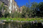 carnarvon-gorge;carnarvon-creek;carnarvon-national-park;creek;stream;queensland-national-park;austra