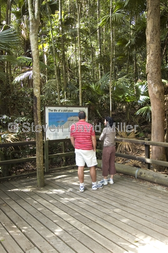 eungella national park;platypus;eungella;queensland national park;australian national park;interpretive sign;people reading interpretive sign