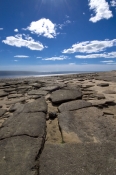 karumba;karumba-point;beach-rock;shell-rock;shell-life;gulf-of-carpentaria