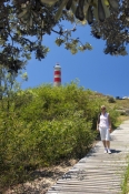 cape-moreton-lighthouse;cape-moreton-conservation-park;moreton-island-visitor-information-center-cen