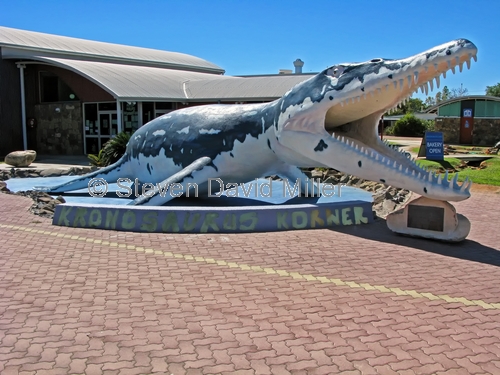 kronosaurus korner regional visitor information centre;marine fossil;kronosaurs queenslandicus;australian dinosaur;australian marine fossil;dinosaur trail;dinosaur replica;richmond