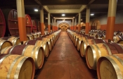 winery;cellar-winery;wine-tanks;wine-casks;wine-barrels;penfolds-winery;adelaide;penfolds-winery-tou
