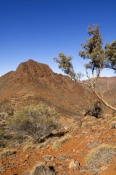 arkaroola;gammon-ranges;northern-flinders-ranges;arkaroola-wilderness-sanctuary;south-australia;outb