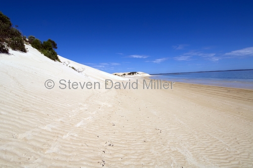 seven mile beach;7 mile beach;coffin track;coffin bay national park;south australian national park;australian national park;tyre tracks on beach;eyre peninsula