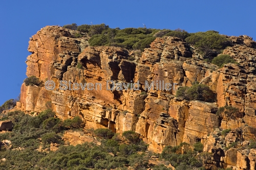 flinders ranges;flinders ranges national park;wilpena pound;wilpenna;south australian national park;australian national park;sandstone cliff