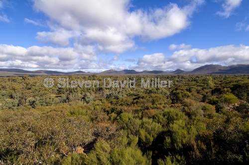 wangarra lookout;wilpena;wilpena pound;flinders ranges;flinders ranges national park;south australian national park