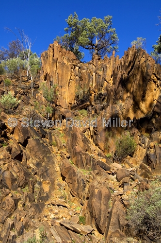 sacred canyon;flinders ranges;flinders ranges national park;south australian national park;australian national park;flinders ranges canyon