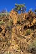 sacred-canyon;flinders-ranges;flinders-ranges-national-park;south-australian-national-park;australia