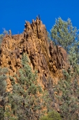 sacred-canyon;flinders-ranges;flinders-ranges-national-park;south-australian-national-park;australia