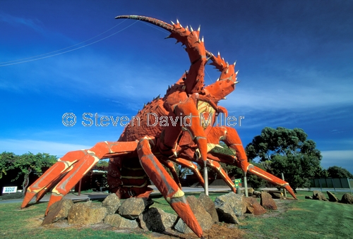 giant lobster statue;larry the lobster;kingston;south australia