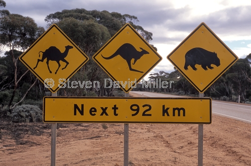 wildlife sign;nullarbor;crossing the nullarbor;eyre highway;nullarbor sign;nullarbor animal caution sign;animal caution sign