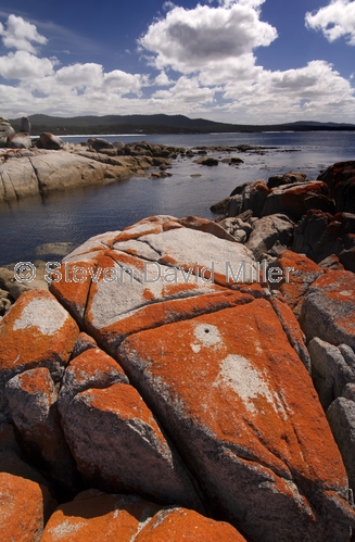 binalong bay;bay of fires;granite rocks;orange lichen on granite rocks;northeast tasmania;tasmania;tassie;tasmania coastline;humbug point conservation area