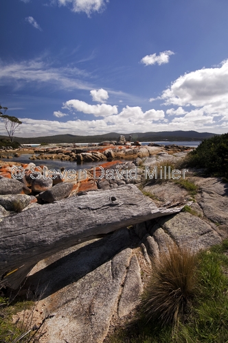 binalong bay;bay of fires;granite rocks;orange lichen on granite rocks;northeast tasmania;tasmania;tassie;tasmania coastline;humbug point conservation area
