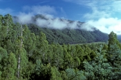 lyell-hwy;lyell-highway;lyell-hwy-scenic-drive;franklin-gordon-wild-rivers-national-park;tasmania-wo