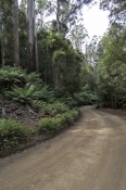 lake-dobson-road;mount-field-national-park;tasmania;mt-field-national-park;tassie;tasmanian-national