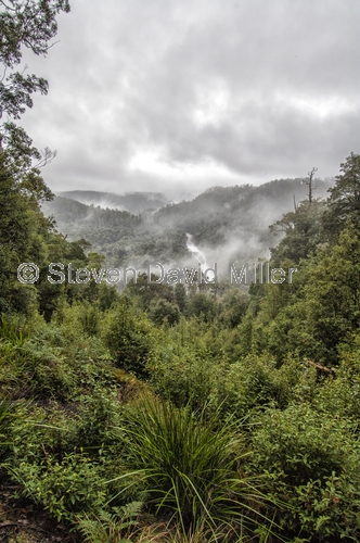 sumac lookout;sumac valley;south arthur forest drive;the tarkine;tarkine;northwest tasmania;tasmania forests;tasmainia;tassie;eucalypt and myrtle rainforest;arthur river