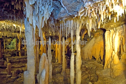 royal cave;buchan caves;buchan caves reserve;stalagmites;stalactites;shawls;flowstone;cave formation;cave decorations;cave;caves in victoria;caves in australia