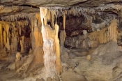 royal-cave;buchan-caves;buchan-caves-reserve;stalagmites;stalactites;shawls;flowstone;cave-formation