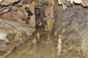 royal-cave;buchan-caves;buchan-caves-reserve;stalagmites;stalactites;shawls;flowstone;cave-formation
