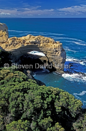 the arch;port campbell national park;great ocean road;great ocean road coastline;great ocean road scenery;victorian scenic drive;australian scenic drive