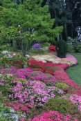 national-rhododendron-gardens;rhododendron-gardens;the-dandenongs;dandenongs;victorian-gardens;rhodo
