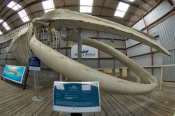 whale-world;whaling-in-western-australia;whaling-station;albany;albany-attractions;albany-whaling-st