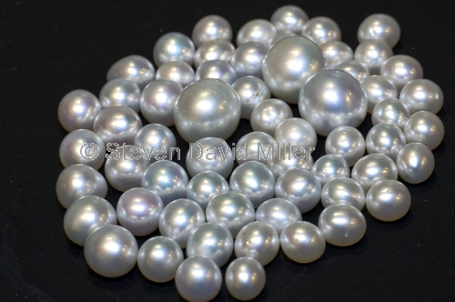australian south seas pearls;broome pearls;pinctada maxima pearls;south seas pearls;australian pearls;big pearls;large pearls;pearls