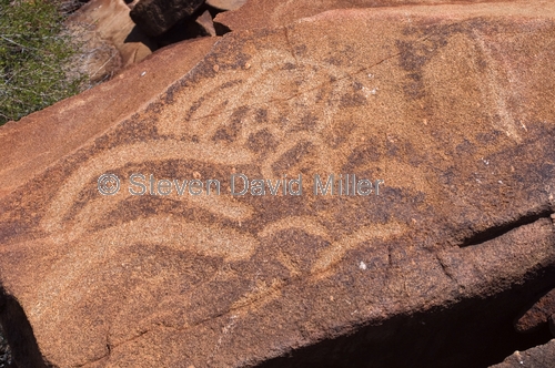 deep gorge petroglyphs;aboriginal rock art;australian aboriginal rock art;aboriginal petroglyphs;aboriginal rock engravings;burrup peninsula;burrup peninsula rock art;dampier archipelago;western australia