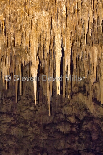 leeuwin-naturaliste national park;ngilgi cave;limestone cave;calcium carbonate cave decorations;stalactites;stalagmites;columns;cave decorations;southwest western australia;cape leeuwin;cape naturaliste