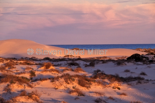 eucla;eucla national park;eucla sand dunes;eucla sanddunes;sand dunes;eucla sunset;the nullarbor;eyre highway;eyre hwy