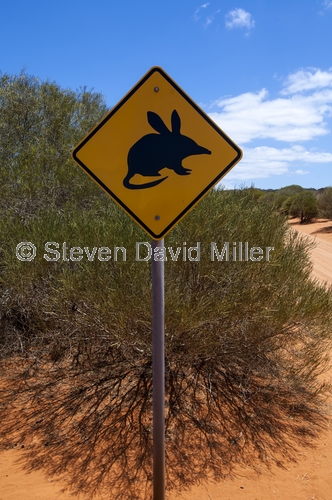 bilby;bilby caution sign;animal caution sign;wildlife caution sign;project eden;shark bay;francois peron national park;denham;western australia national parks