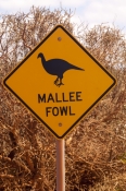 mallee-fowl;mallee-fowl-caution-sign;animal-caution-sign;wildlife-caution-sign;project-eden;shark-ba