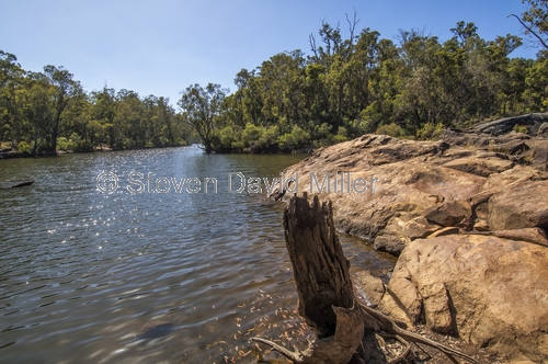 murray river;lane poole reserve;river;western australia river;western australia reserves